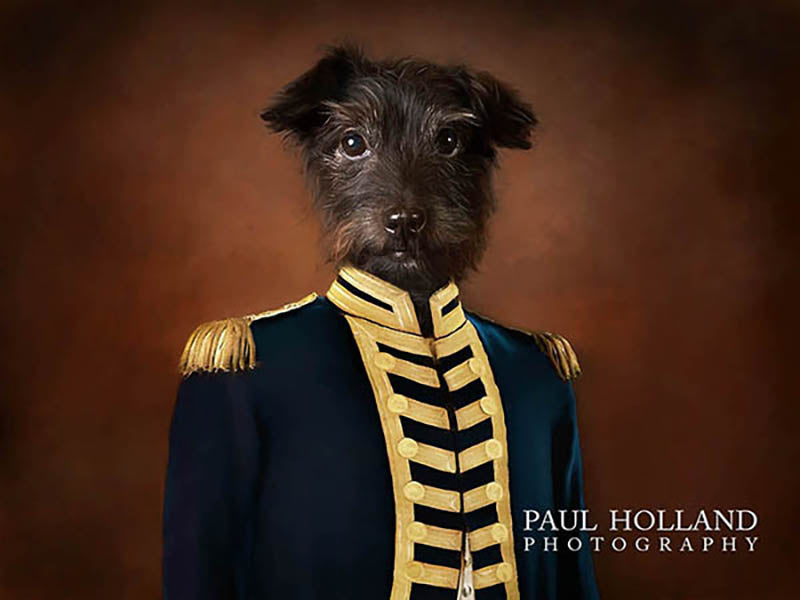 The Story behind the Picture: Dogs in Uniform