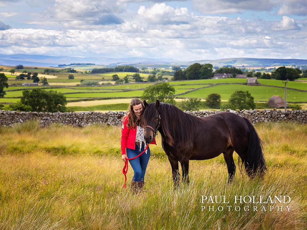 Horse and Rider Photo Shoot