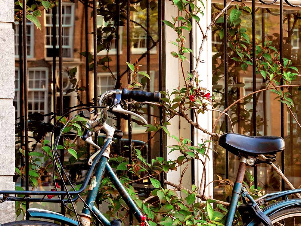 Amsterdam Bicycle, Fine Art print
