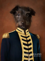 Load image into Gallery viewer, Studio Photo Shoot - Fairy Art, Fantasy Art, Cosplay or Steampunk
