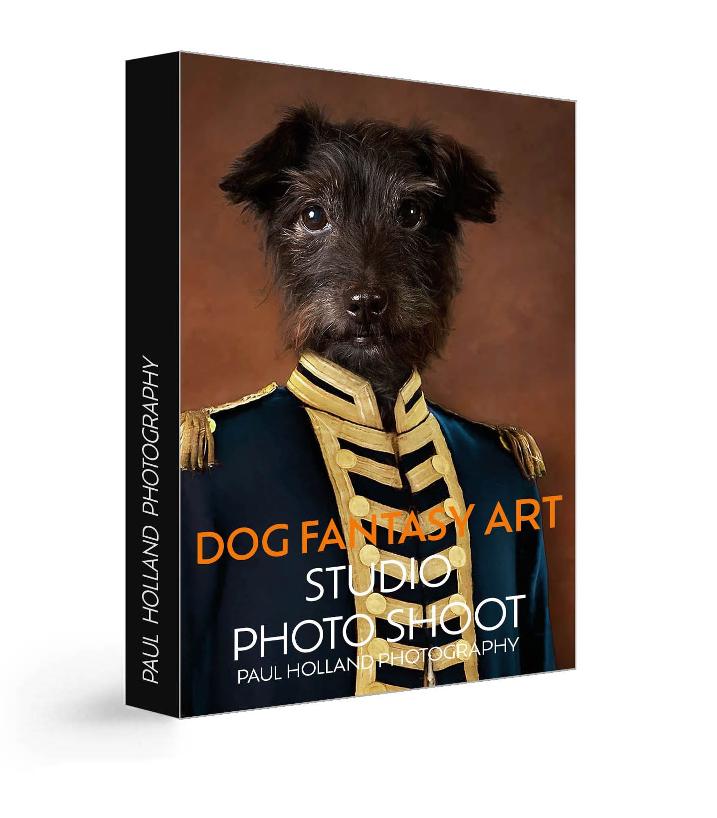 Studio Photo Shoot - Fantasy Art Pet Photography & Canvas