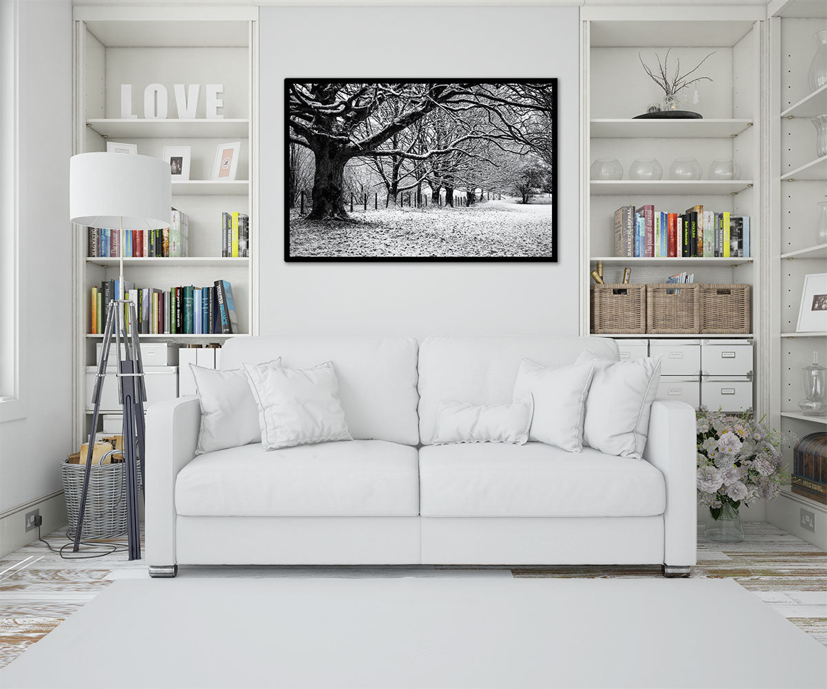 Winter Trees, Kendal, England - Wall Canvas