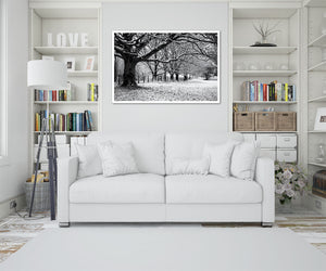 Winter Trees, Kendal, England - Wall Canvas