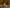 Location Photo Shoot - Children