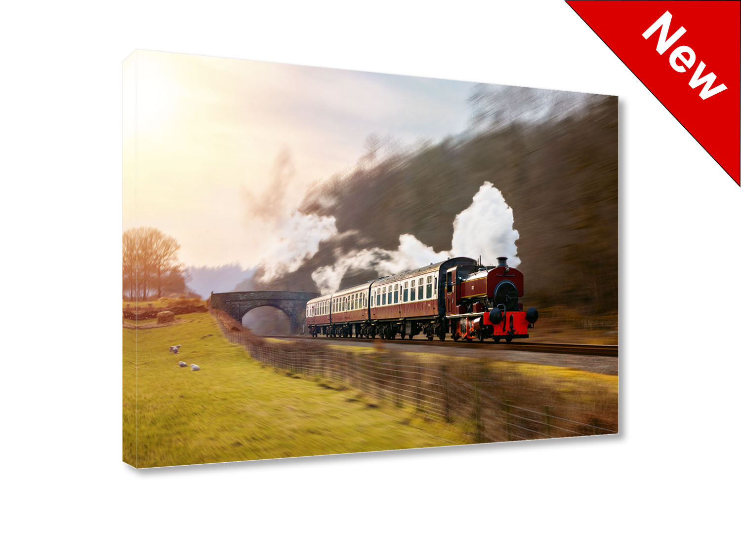 Lakeside and Haverthwaite Steam Locomotive - Wall Canvas