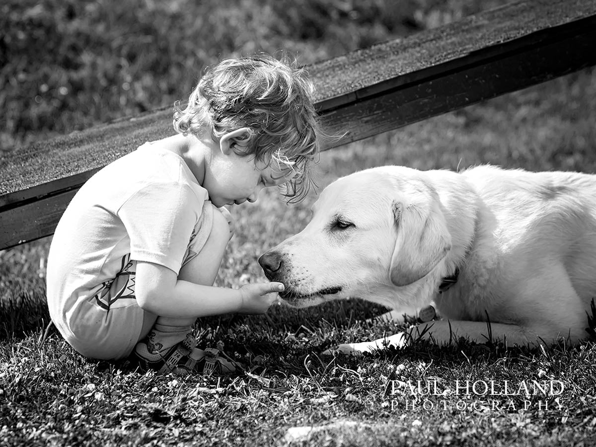 Outdoor Photo Shoot - Dog