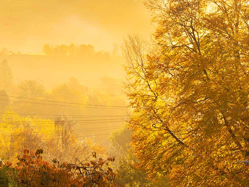 Sunny Morning, Kendal, Cumbria, Fine Art Print