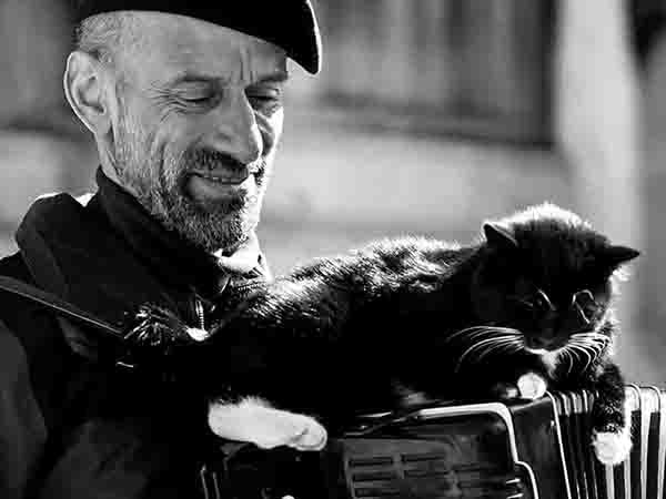 Accordion Cat Man of Montmartre
