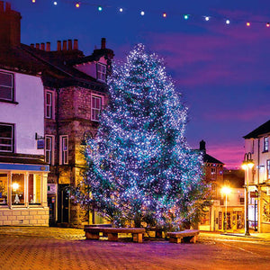 Kendal Christmas Tree Christmas Card PACK