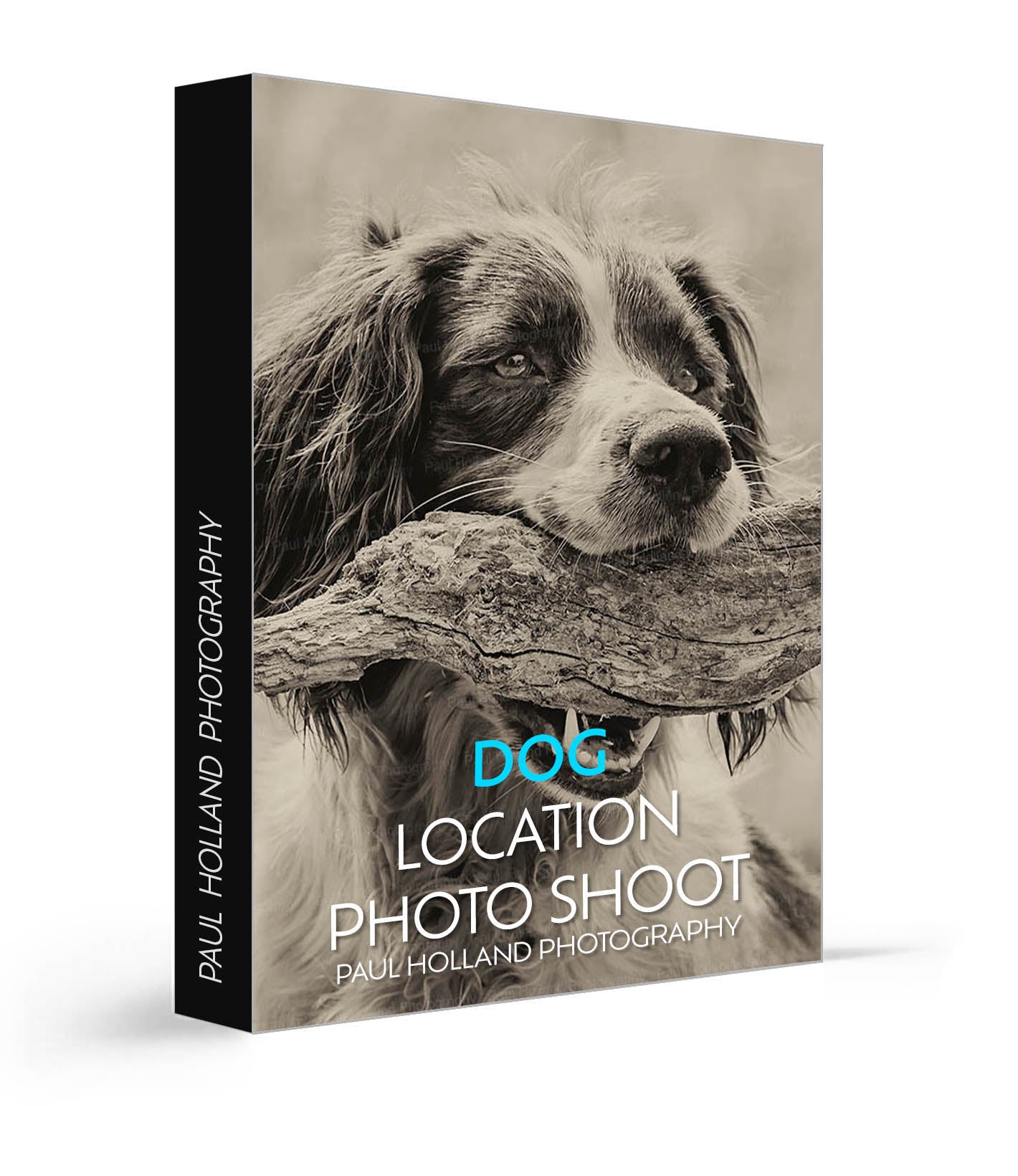 Location Photo Shoot - Dog