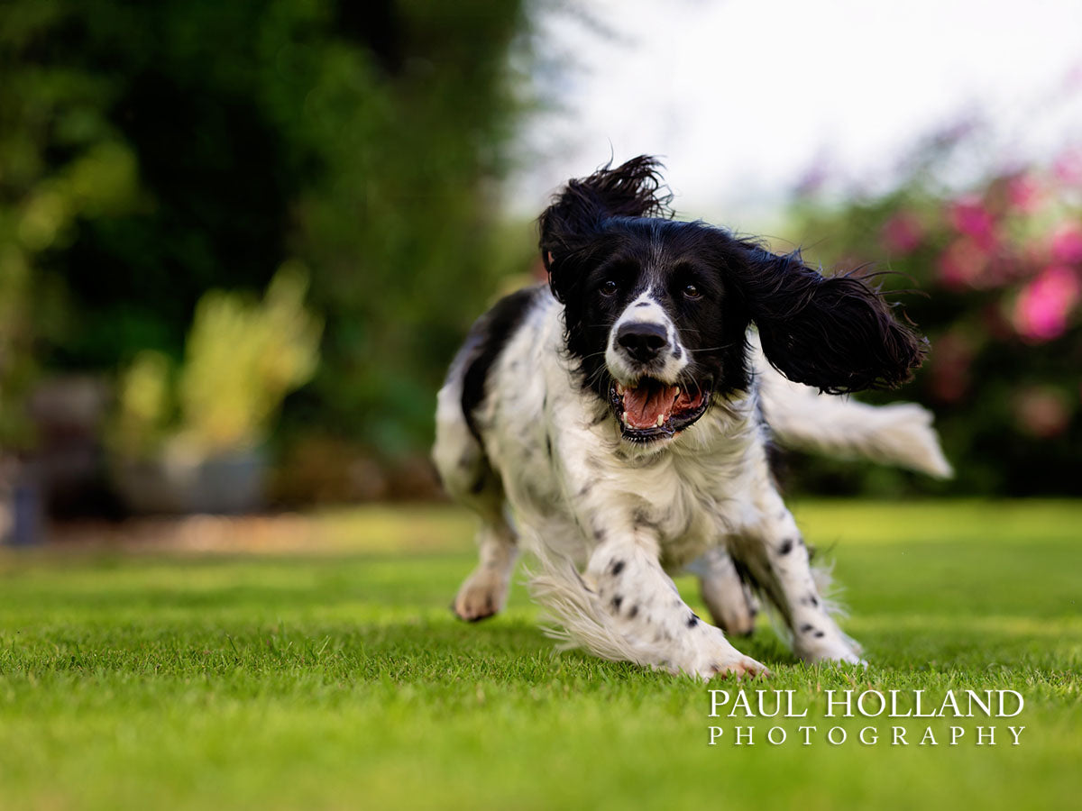 Outdoor Photo Shoot Package - 2 Shoots