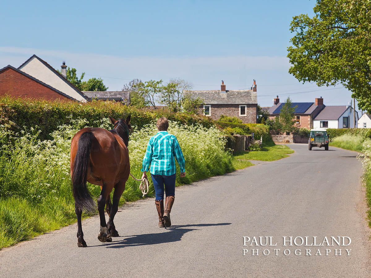 Outdoor Photo Shoot - Horse and Rider