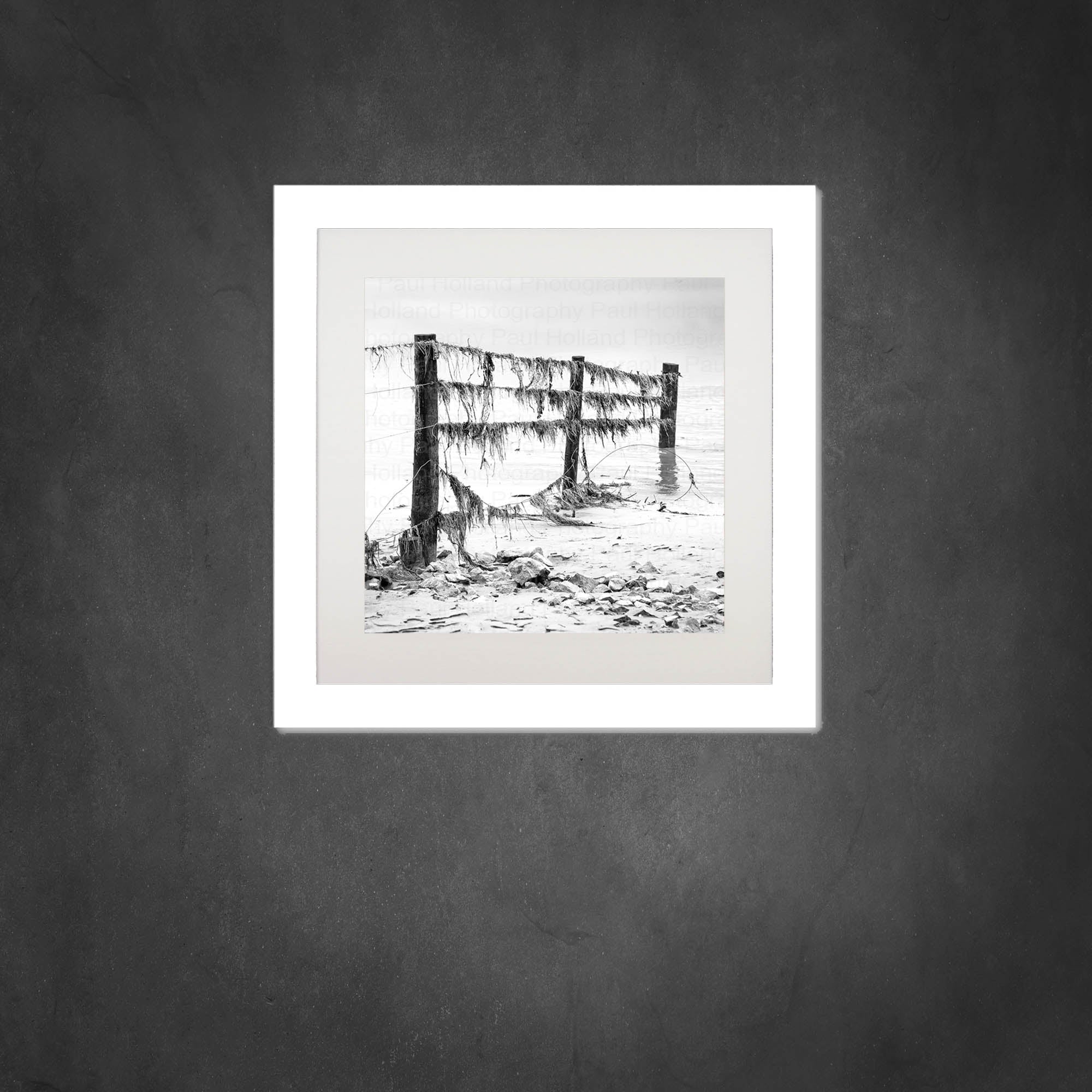 Old Fence: A Black and White Photo Print in a Frame