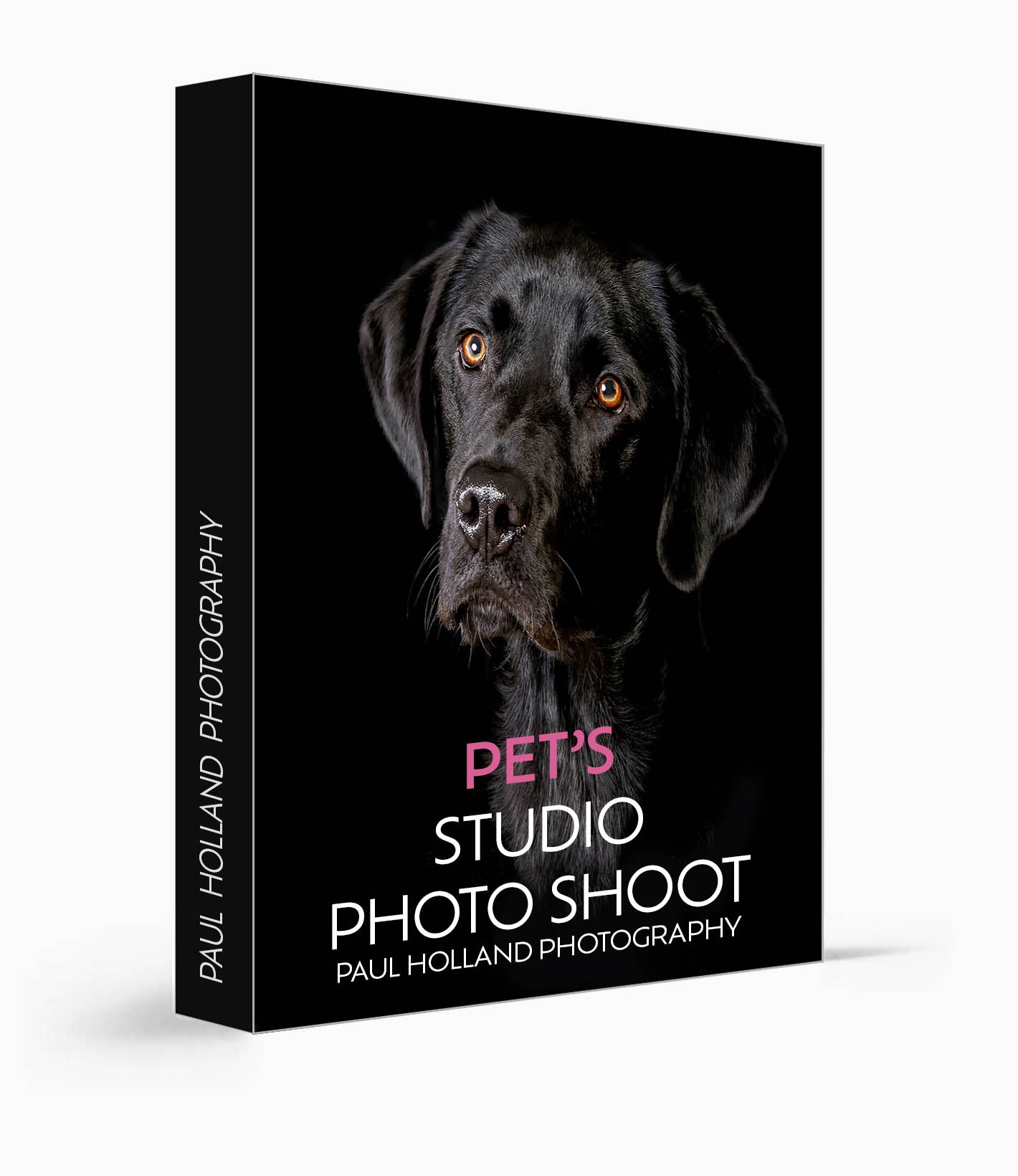 Studio Photo Shoot - Pet Photography