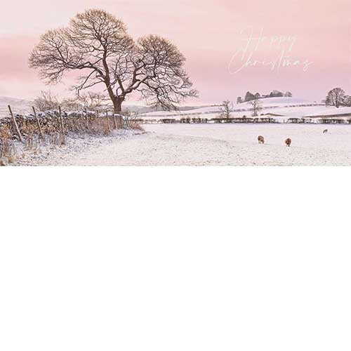 Kendal Snowy Christmas Card PACK