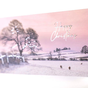 Kendal Snowy Christmas Card Pack. Free delivery