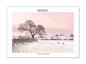 Snowy Fields near Kendal A5 Postcard
