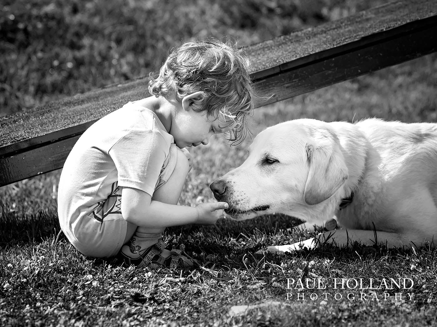 Outdoor Photo Shoot - Group/Family