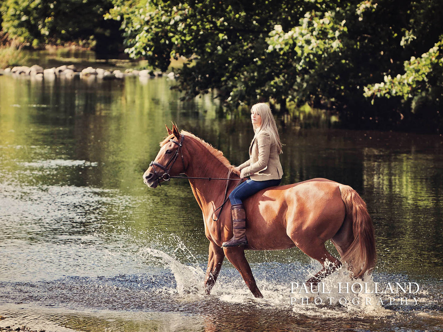 Outdoor Photo Shoot - Horse and Rider