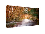 Load image into Gallery viewer, Snow in Scroggs Wood, Kendal - Wall Canvas
