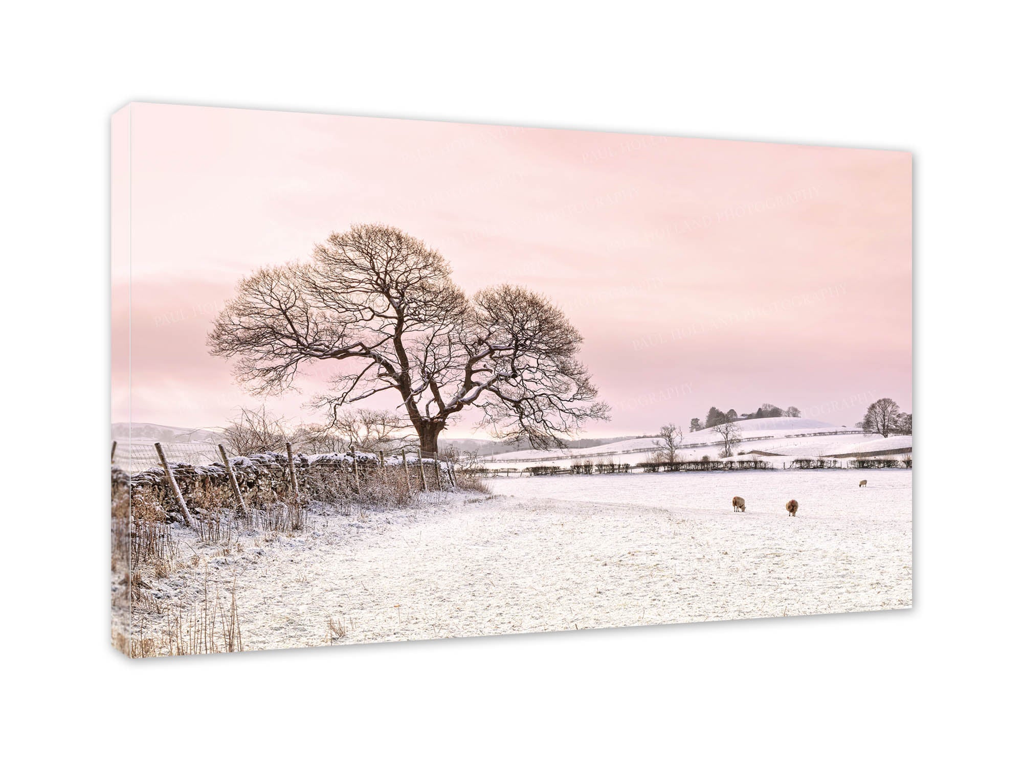 Winter snow on fields near Kendal, Wall Canvas